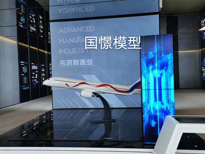 阿克苏县飞机模型